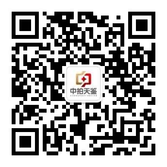 中拍天鉴公众号